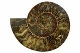 Cut & Polished, Agatized Ammonite Fossil - Madagascar #317506-2